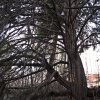 2829_040206Brunhilde02Var2_28